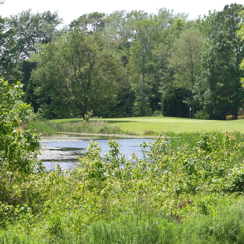 The Salt Pond Golf Club The Salt Pond Golf Club