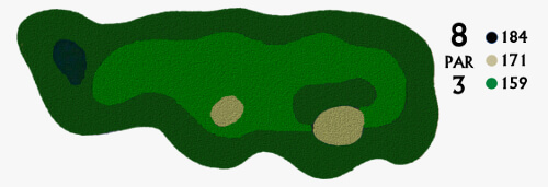 Hole 8 Golf Course Map