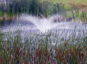 Opening Day Event @ Salt Pond Golf Club | Bethany Beach | Delaware | United States