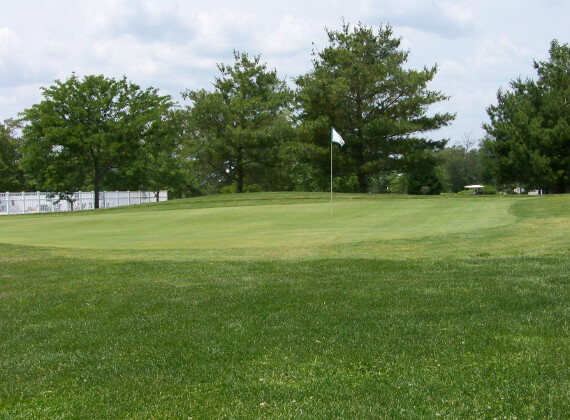 Ladies Flag Day Outing Open Tee-times